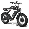 52V 23ah Dual Batteries 2000w Electric Mountain Bike Dual Motors 20 Inch Fat Tire Ebike Dual Suspension Electr Bike